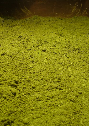 DZIEŃ ZIEMI 2012 - 20 - 22 kwietnia 2012 r. Śląski Ogród Botaniczny w Mikołowie